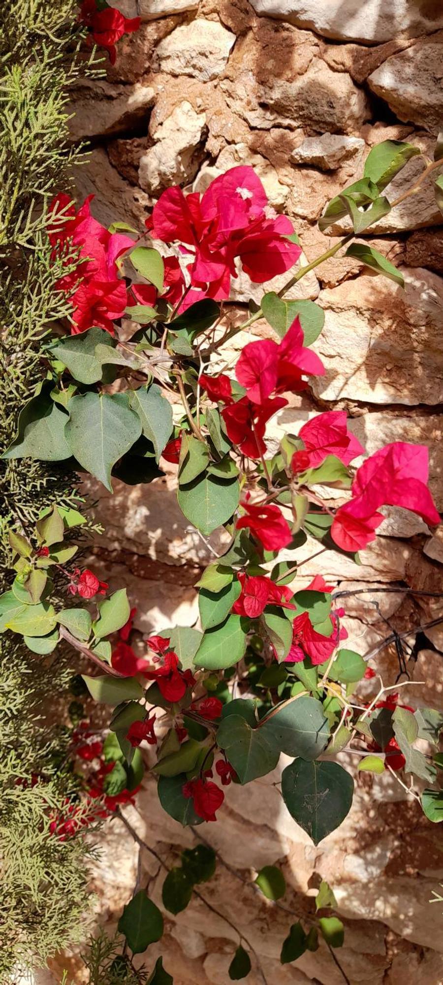 فندق Maison La Chevre الصويرة المظهر الخارجي الصورة